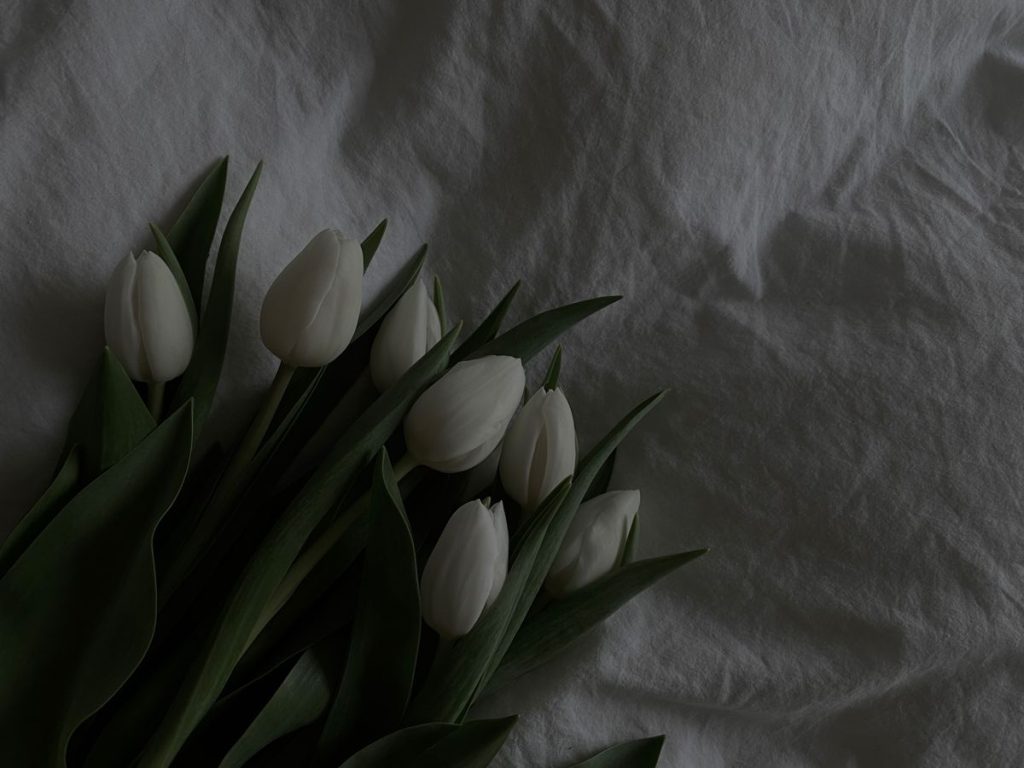 Trik dan Tips Konseling dengan Tenang: Cara Efektif Membangun Ketenangan dalam Sesi Konseling